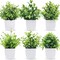 Artificial Bonsai Vivid Non Wither Realistic Decorative Living Room Bedroom Artificial Eucalyptus Plants For Hotel